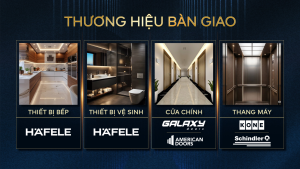 25 Dự Án Căn Hộ Fenica