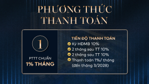 27 Dự Án Căn Hộ Fenica