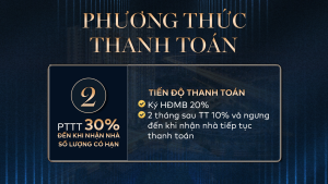 28 Dự Án Căn Hộ Fenica