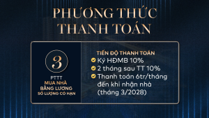 29 Dự Án Căn Hộ Fenica