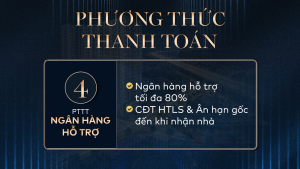 30 Dự Án Căn Hộ Fenica